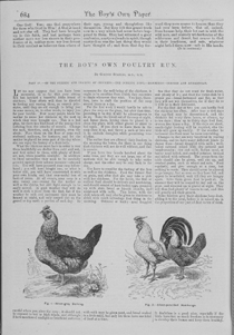 Boy's Own Paper 4 (1881-82), 684.  Reproduced by kind permission of Leeds University Library.